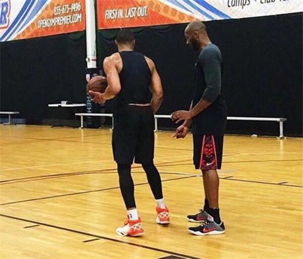 2025-2026中国大学生排球联赛（高水平组）北方赛区（男子组）将在青岛开赛（2025-2026赛季中国大学生排球联赛高水平组北方赛区男子组在青岛揭幕）